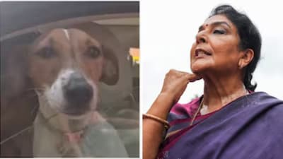 Renuka Chowdhury brought a dog, which she claimed to be a stray, on Parliament premises. (PTI/File image)
