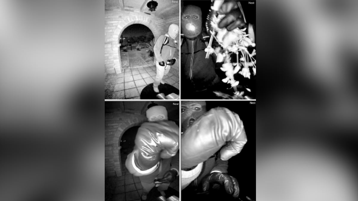 Glove DNA Yields No Hits In Database As Search For Missing NBC Anchor’s Mother Enters Day 17