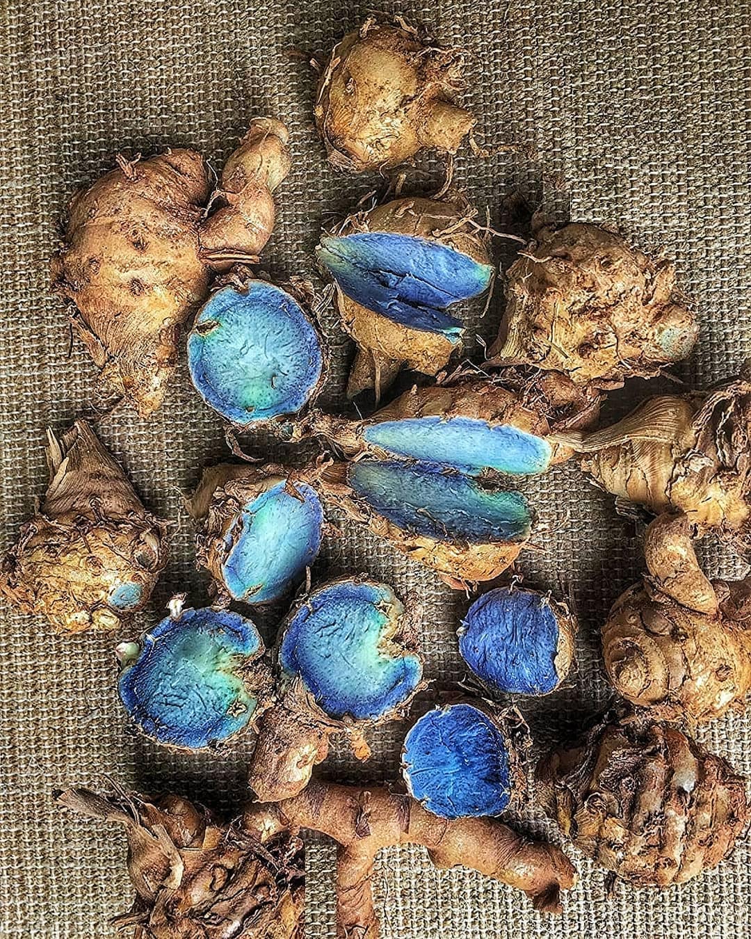 What Is Blue Turmeric? Know Its Health Benefits