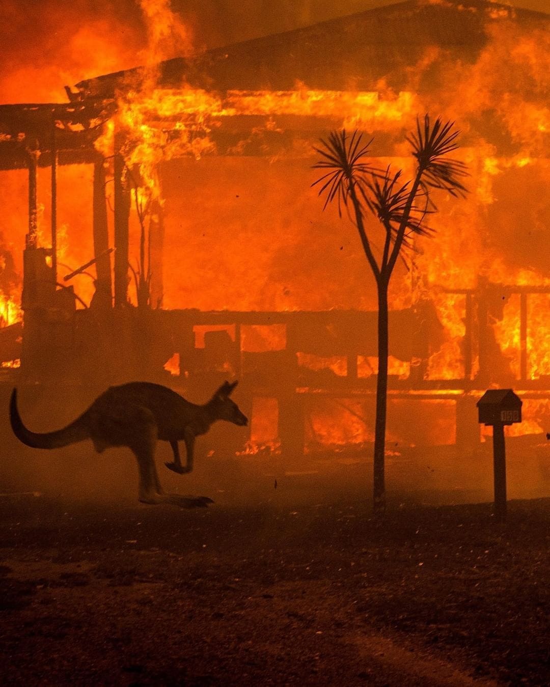 Long Term Risks (10 Years)- Extreme weather events - Biodiversity loss and ecosystem collapse - Critical change to Earth systems - Misinformation and disinformation - Adverse outcomes of AI technologies - Natural resource shortage - Inequality - Cyber Insecurity - Societal polarization - Pollution