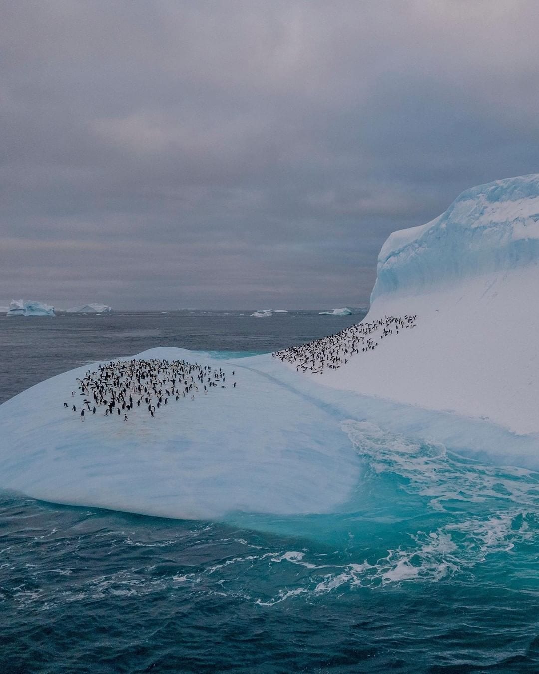 Short-Term Risks (2 Years)- Geoeconomic confrontation - Misinformation and disinformation - Societal polarization - Extreme weather events - State-based armed conflicts - Cyber insecurity - Inequality - Erosion of human rights and/or civic freedoms - Pollution - Involuntary migration or displacement