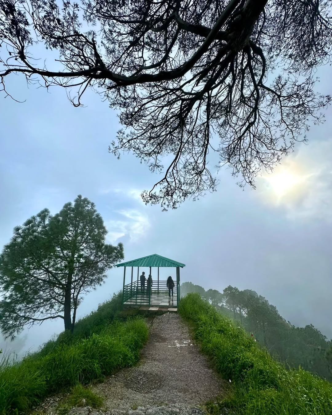 Kasauli, Himachal Pradesh: This colonial-era town is famous for its cobblestone paths and "Gilbert Trail." The chilly February weather is perfect for cozying up in a boutique cottage. Watching the sunset from Manki Point provides a breathtaking view of the Himalayan foothills.