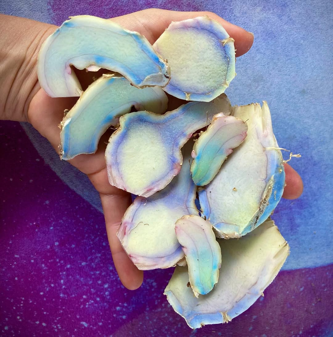 What Is Blue Turmeric? Know Its Health Benefits