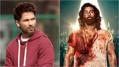 Shahid Kapoor Reveals Sandeep Reddy Vanga Wanted Kabir Singh To Appear In Animal
