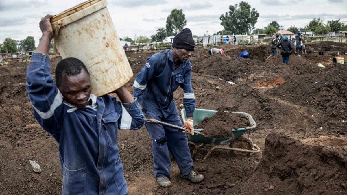 Gold Rush Grips South African Town As Fortune Seekers Arrive With Shovels And Trucks