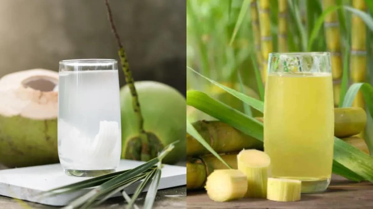 Sugarcane Juice Vs Coconut Water: Which Is More Hydrating?