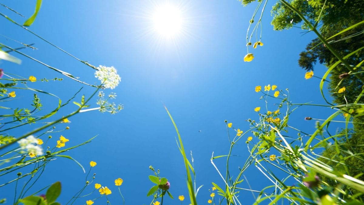 Bengaluru Braces For Harsh Summer: Intense Heat Likely For 2 Months