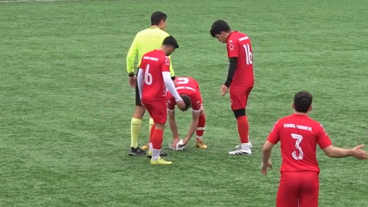 Fowl Play In Turkey! Amateur Footballers Perform CPR To Save Injured Seagull Mid-Match | WATCH