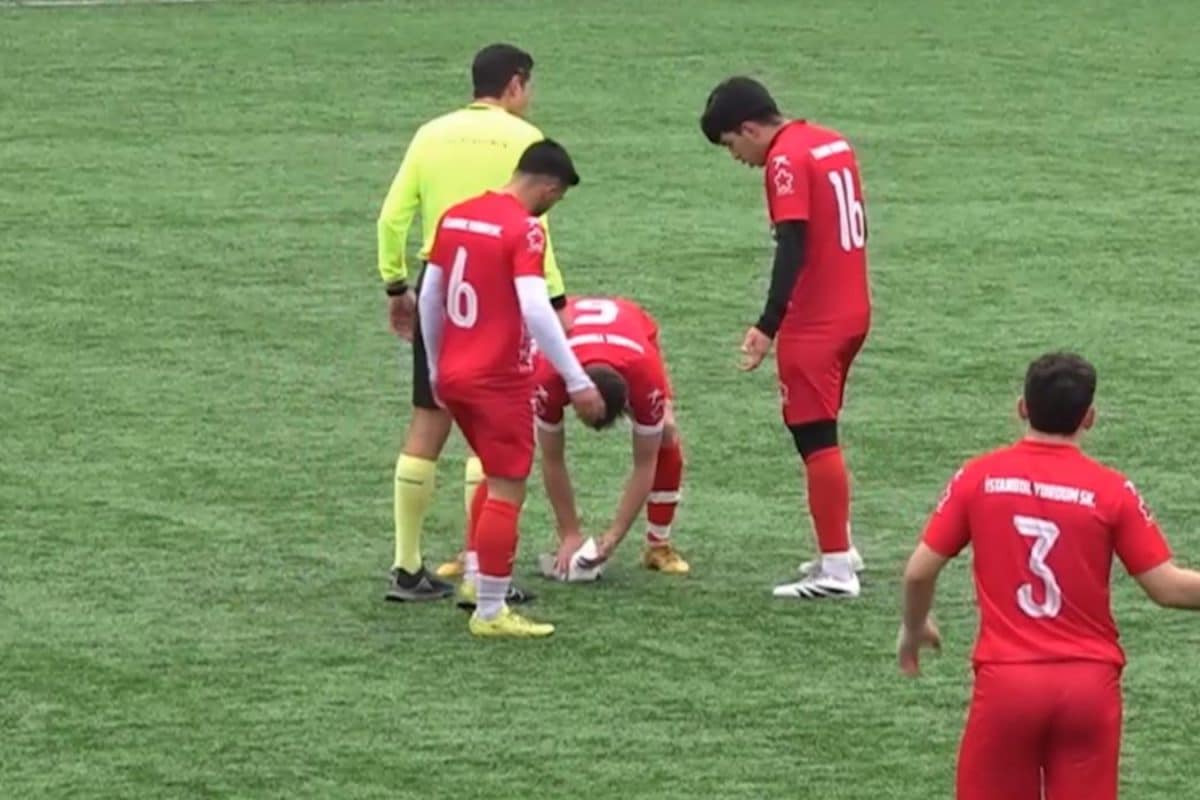 Fowl Play In Turkey! Amateur Footballers Perform CPR To Save Injured Seagull Mid-Match | WATCH