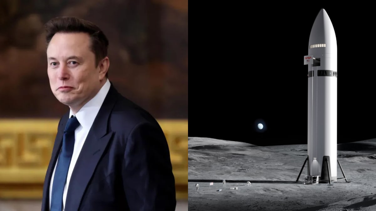 'In Less Than 10 Years': Elon Musk Says SpaceX Focused On Building Self-Growing City On Moon