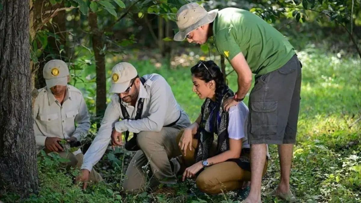 Kanha National Park – Khatia Trail & Hilltop Sunset Point Khatia Trail Starting from the Khatia gate in the buffer zone, this 7–8 km trail is ideal for birdwatchers and nature photographers. Managed by the forest department, the walk is guided and safe, allowing visitors to explore Kanha’s forests at ground level. For something more scenic, the 3.2 km trail from Kanha Earth Lodge leads to a hilltop with sweeping views of the forest below. As the sun sets, the sky turns shades of orange and red, making this one of the most rewarding walks in the park — especially if you enjoy quiet, end-of-day treks.