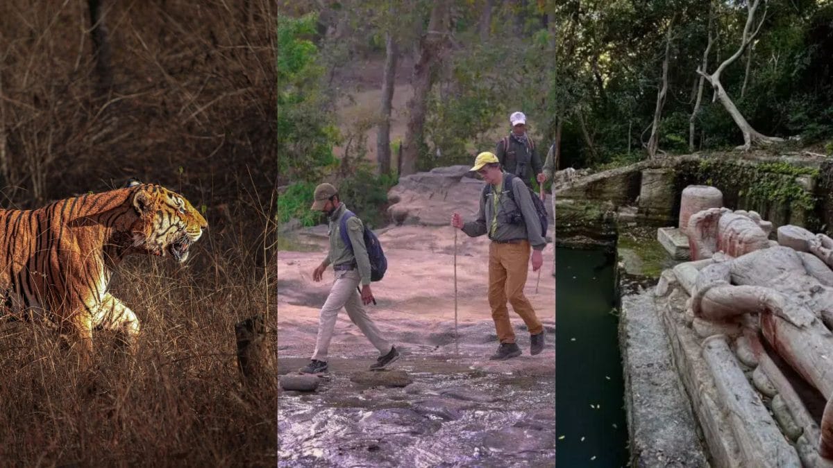 From Kanha To Pench: Skip Jeeps And Try These Beautiful Walking Safaris Inside India’s National Parks