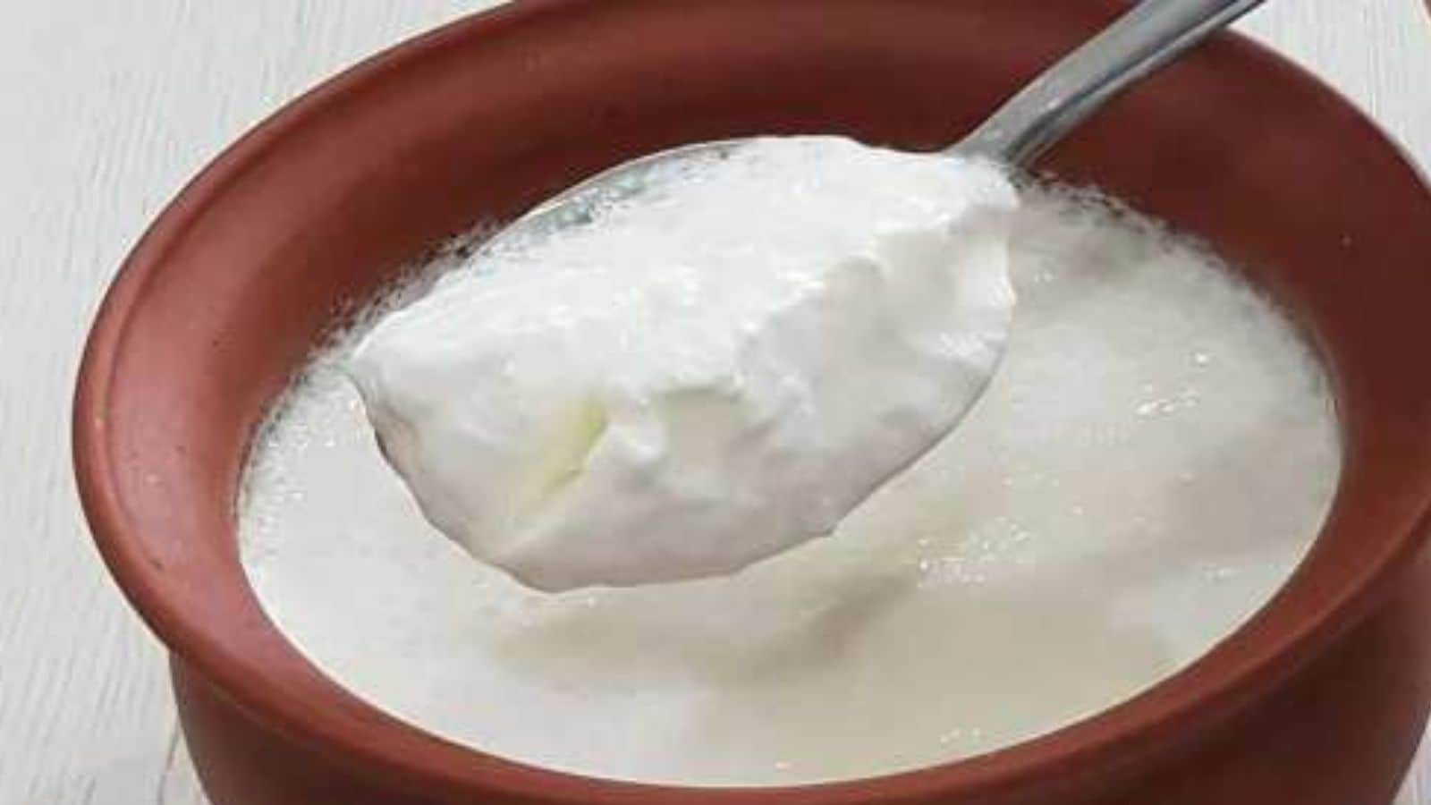But there are not just cultural benefits, dahi-cheeni also has practical health benefits. How so? Because sugar provides a quick boost of energy that helps the brain and body stay alert. Curd acts as a natural coolant and it keeps the body fresh especially in India’s hot climate. It also aids digestion which can get upset during stressful moments. But there are not just cultural benefits, dahi-cheeni also has practical health benefits. How so? Because sugar provides a quick boost of energy that helps the brain and body stay alert. Curd acts as a natural coolant and it keeps the body fresh especially in India’s hot climate. It also aids digestion which can get upset during stressful moments.