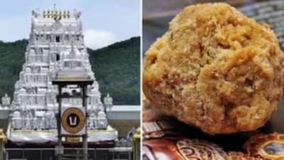 In 2024, Andhra Pradesh Chief Minister N Chandrababu Naidu and Deputy Chief Minister Pawan Kalyan claimed that the laddus offered at the Tirumala Venkateswara temple had been adulterated with “animal fat”. (File photo)