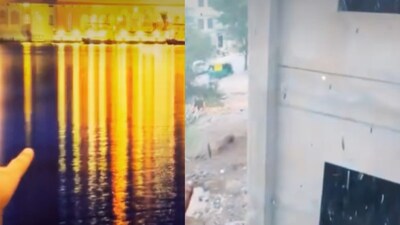 Instead, they end up facing an unexpected and funny surprise. (Photo Credit: Instagram)