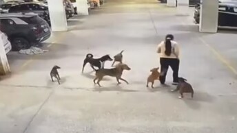 ‘Mere Kutte Ko Marega?’ Noida Woman Abuses Residents After They Object To Dog 'Pooping' In Common Area