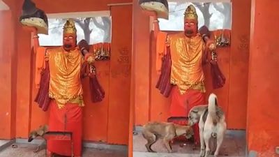 The dog kept circling for three days. (Photo Credit : X)