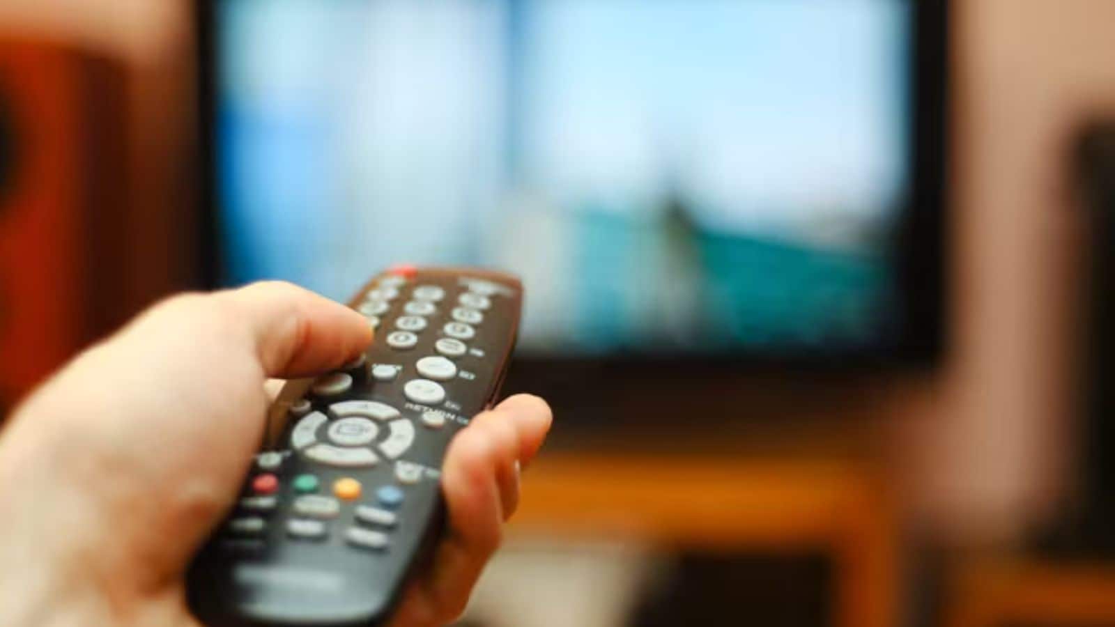 Before entering films, she became a familiar face on Indian television through daily soaps that reached a wide household audience. Her role as Bulbul in a popular drama series established her credibility as a performer who is able to portray emotional depth with finesse. This phase of her career provided a strong foundation before she ventured into feature films.