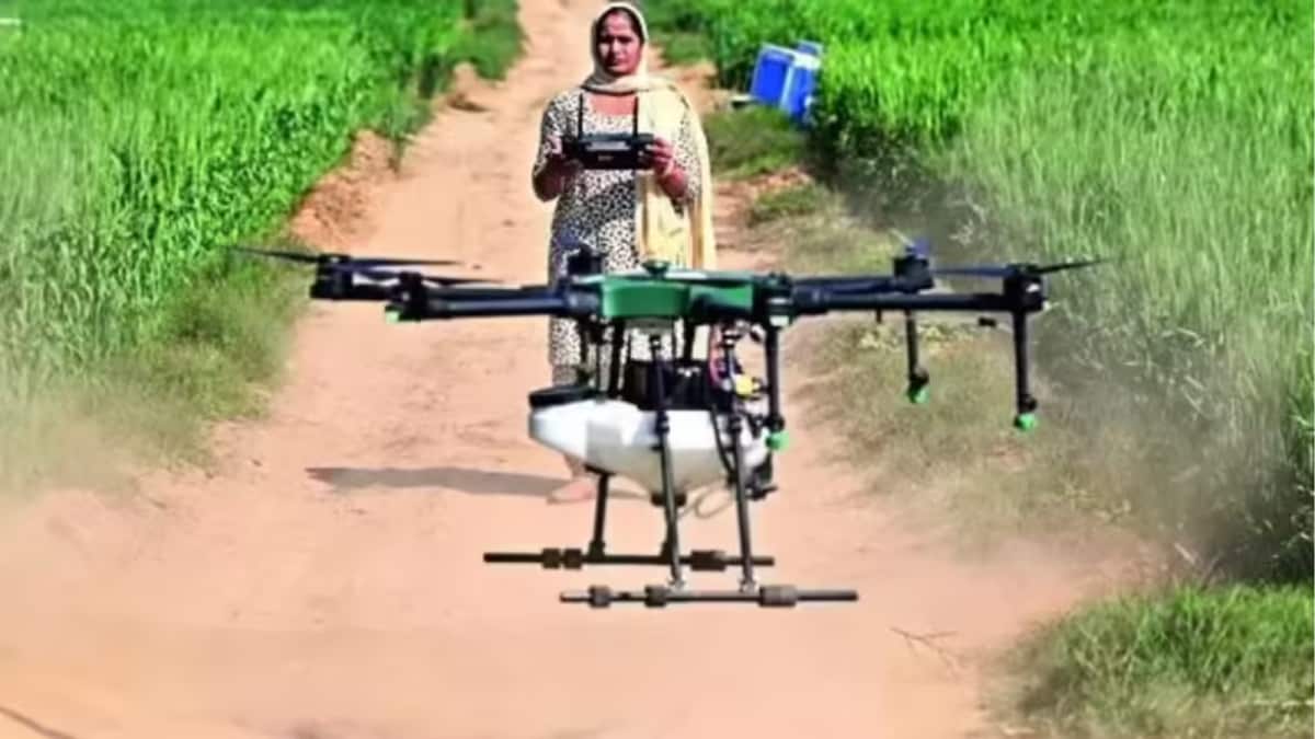 This Farmer’s Drone Transport Experiment With Pig Ended In A 10-Hour Power Cut