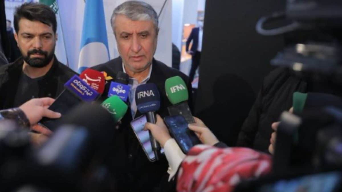 Iran Will Dilute Its Highly Enriched Uranium If All Sanctions Lifted: Nuclear Chief