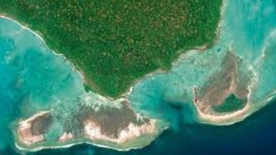 Clove buds drying under the sun remain one of the strongest symbols of this island’s spice legacy. (Photo Credit: X)