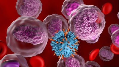 Low oxygen slowed tumor growth in mice by lowering purine nucleotide levels.