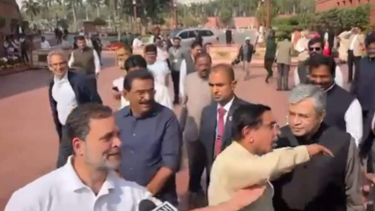 'I'll Also Say Hello': Congress Says Ministers 'Bolted' After Rahul Gandhi Interrupted Their Press Briefing