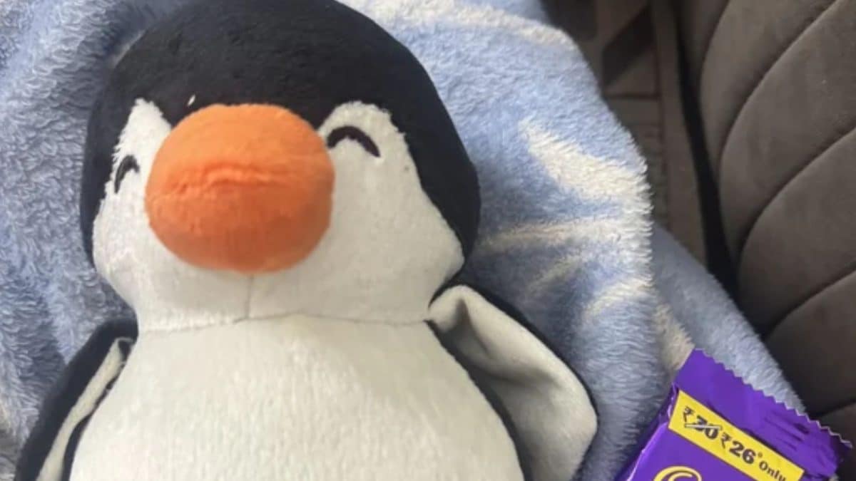 Man Surprises Wife With Valentine’s Day Gift Days After Losing Job, Internet Says ‘This Is What Real Feminism Is’