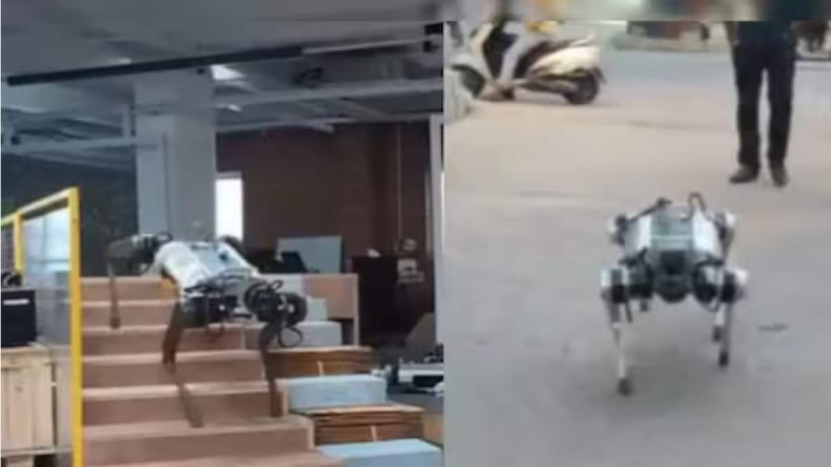 What Are Robodogs And Why Does India Need Them? Explained