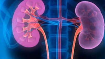 Repeated dehydration can add stress to kidney function, especially in people who already have diabetes, high blood pressure, or early kidney disease.