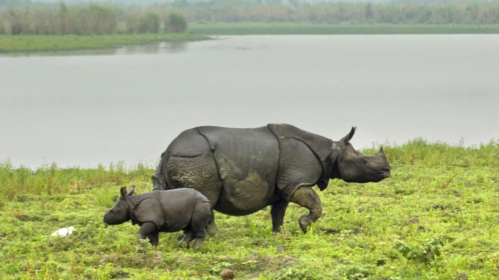  Udalguri and Darrang. Tourist destinations such as Kaziranga National Park and Deopahar Archaeological Site are also part of the connected network. Major towns and cities linked through this project include Numaligarh, Tezpur and Gohpur in Assam. The corridor also improves access to Dibrugarh in Assam and Itanagar in Arunachal Pradesh.