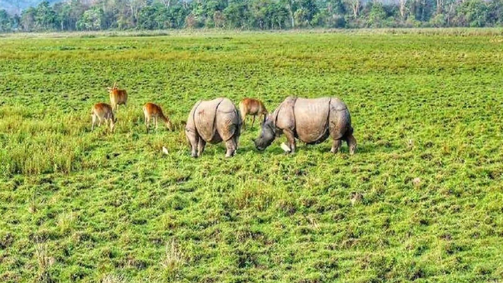 The service also strengthens access to tourist and cultural sites. Key destinations connected include Maa Kamakhya Temple, Kaziranga National Park, Manas National Park and Pobitora Wildlife Sanctuary. It also improves travel options to Shillong, Cherrapunji in Meghalaya and Tawang and Pasighat in Arunachal Pradesh. The service also strengthens access to tourist and cultural sites. Key destinations connected include Maa Kamakhya Temple, Kaziranga National Park, Manas National Park and Pobitora Wildlife Sanctuary. It also improves travel options to Shillong, Cherrapunji in Meghalaya and Tawang and Pasighat in Arunachal Pradesh.