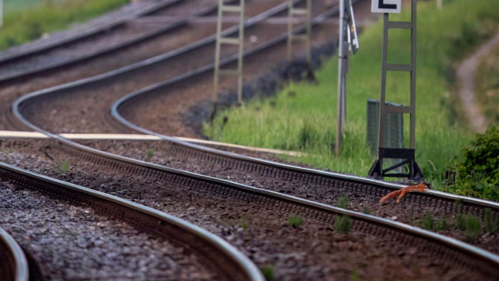 In 2026, several high-speed and semi-high-speed trains will lead the way. These trains focus on speed, safety, and a better travel experience. They reduce journey time between big cities. Many of them are already popular among regular travellers.