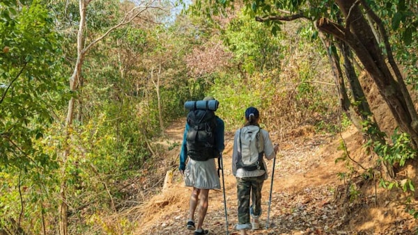 Are Men Really Abandoning Women On Hikes? Understanding The 'Alpine Divorce' Trend