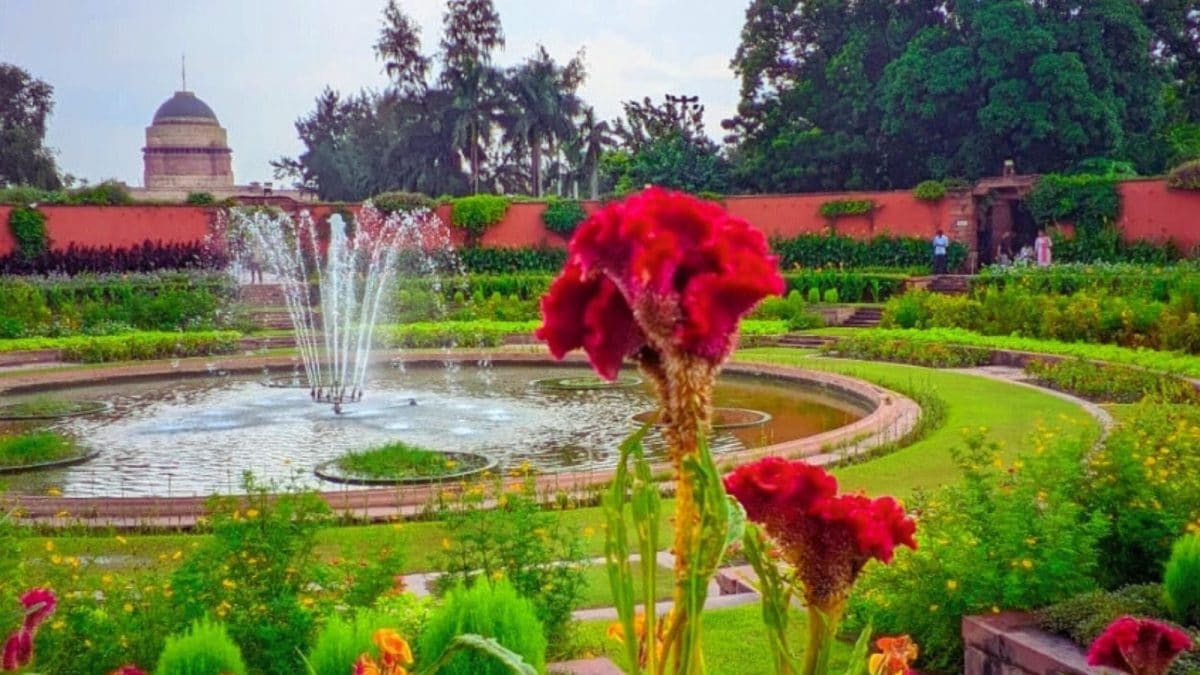 Amrit Udyan To Open For Public Viewing From February 3: How To Book Tickets, Entry Rules, Special Days