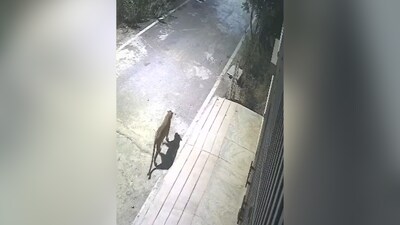 A grab of the CCTV footage (Image credit: X) 