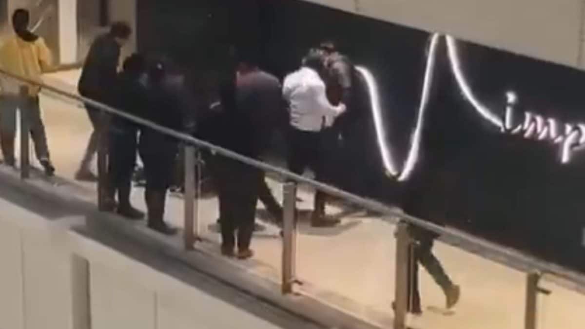 2 Men Brutally Thrashed, Beaten Up By Pub Bouncers At Noida Mall | Video
