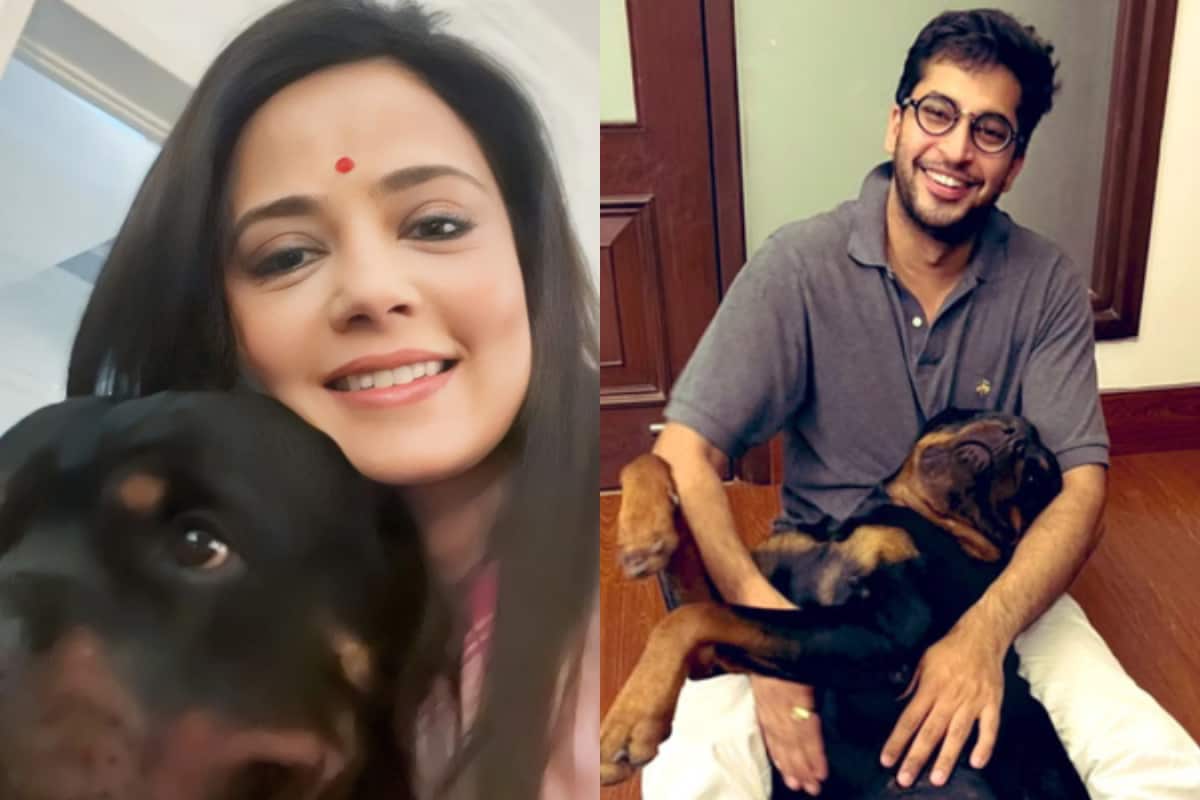 Mahua Moitra Moves Delhi High Court Against Ex-Partner Over Custody Of Pet Dog Henry