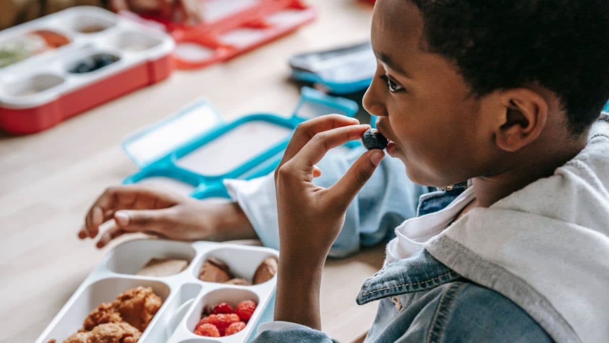 No Sugary Snacks, More Fresh Food: UAE Schools Tighten Lunchbox Guidelines