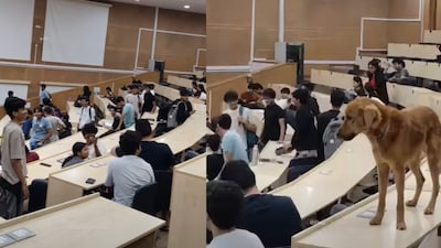 Students around the room watch the scene unfold.