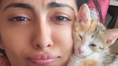 Unlike humans, cats have varied dietary requirements depending on their age or life stage, breed, lifestyle, sensitivities and health conditions