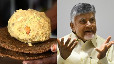 Andhra Pradesh Chief Minister Chandrababu Naidu alleges 'deliberate conspiracy' as allegations of adulterated ghee resurfaces 