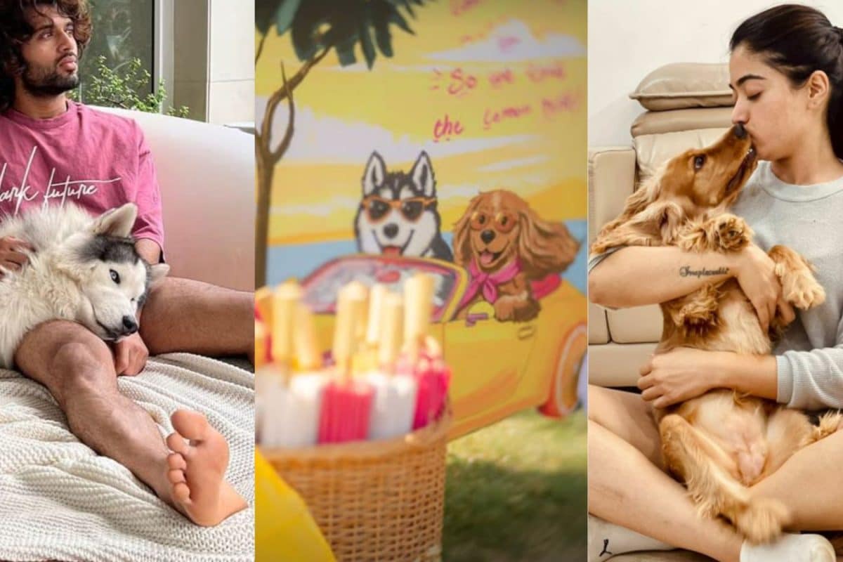 Rashmika Mandanna-Vijay Deverakonda Wedding: Meet Their Pets Aura And Storm, The Stars Of ‘Virosh’ Wedding Decor