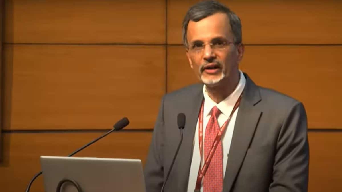 India–US Trade Deal Removes Key FDI Hurdle, ‘China+1 Strategy Back In Play’: CEA Nageswaran