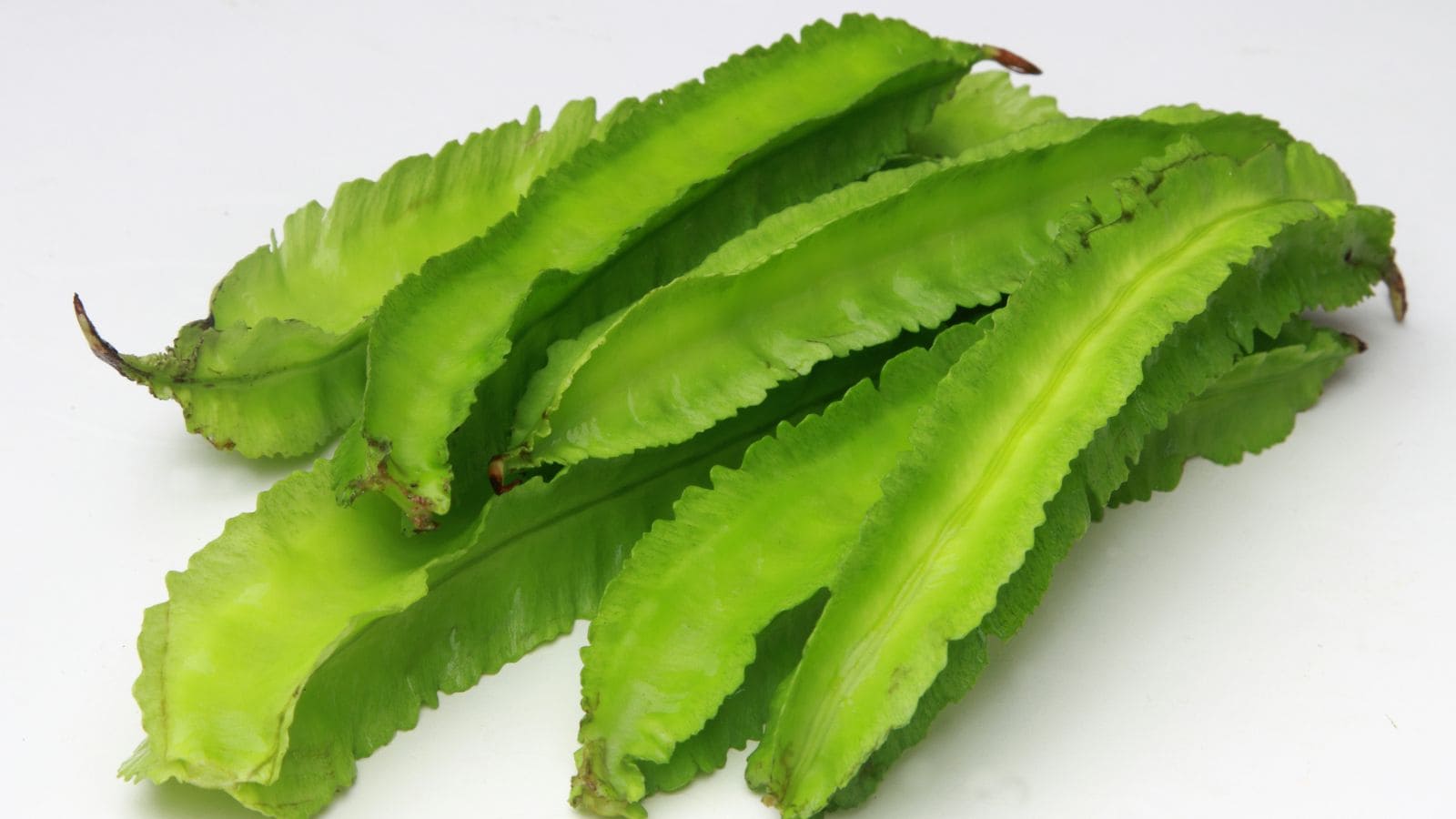 Beyond French Beans: Exploring India’s Diverse Green Bean Varieties