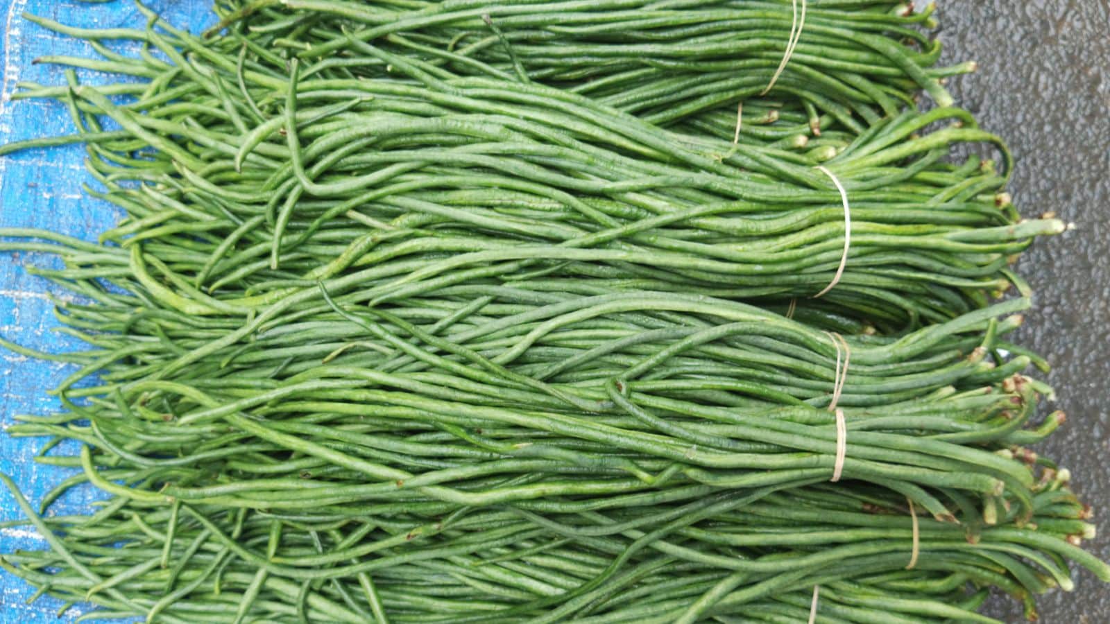 Beyond French Beans: Exploring India’s Diverse Green Bean Varieties