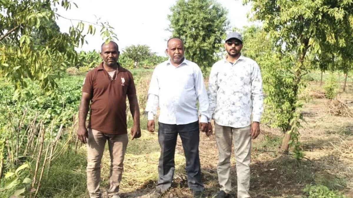 These 3 MP Brothers Rejected FDs And Are Planting Something To Make Rs 5 Crore In 10 Years