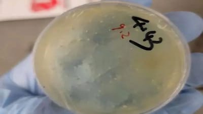 Beijing Steps In as US Frees Jailed Chinese Scientists (Photo: The Sun)