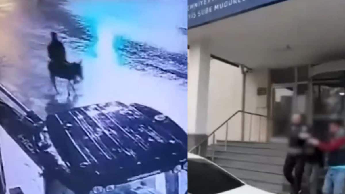 Man Escapes On Donkey After Jewellery Shop Theft In Türkiye, Arrested | Video