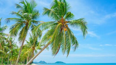 GK: Which State Is Known As The Coconut Island Of India?